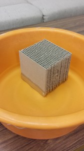 20141218_223535
